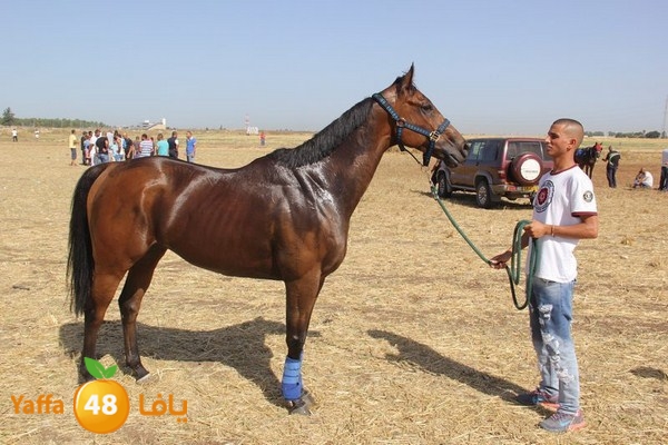 horse race 0602 (67).JPG